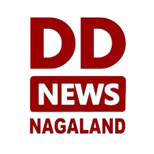 DD News